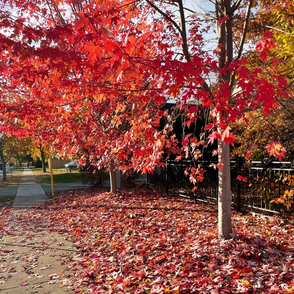 Meet your Posher, Nakita - Picture 1 of 1